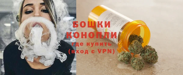 ГАЛЛЮЦИНОГЕННЫЕ ГРИБЫ Касимов