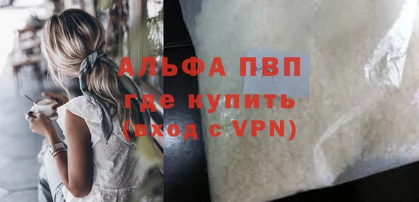 ГАЛЛЮЦИНОГЕННЫЕ ГРИБЫ Касимов