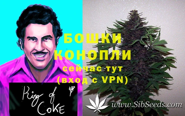 ГАЛЛЮЦИНОГЕННЫЕ ГРИБЫ Касимов